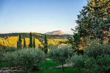 Visite d’une journée sur Cézanne à Aix-en-Provence avec dégustation de vins